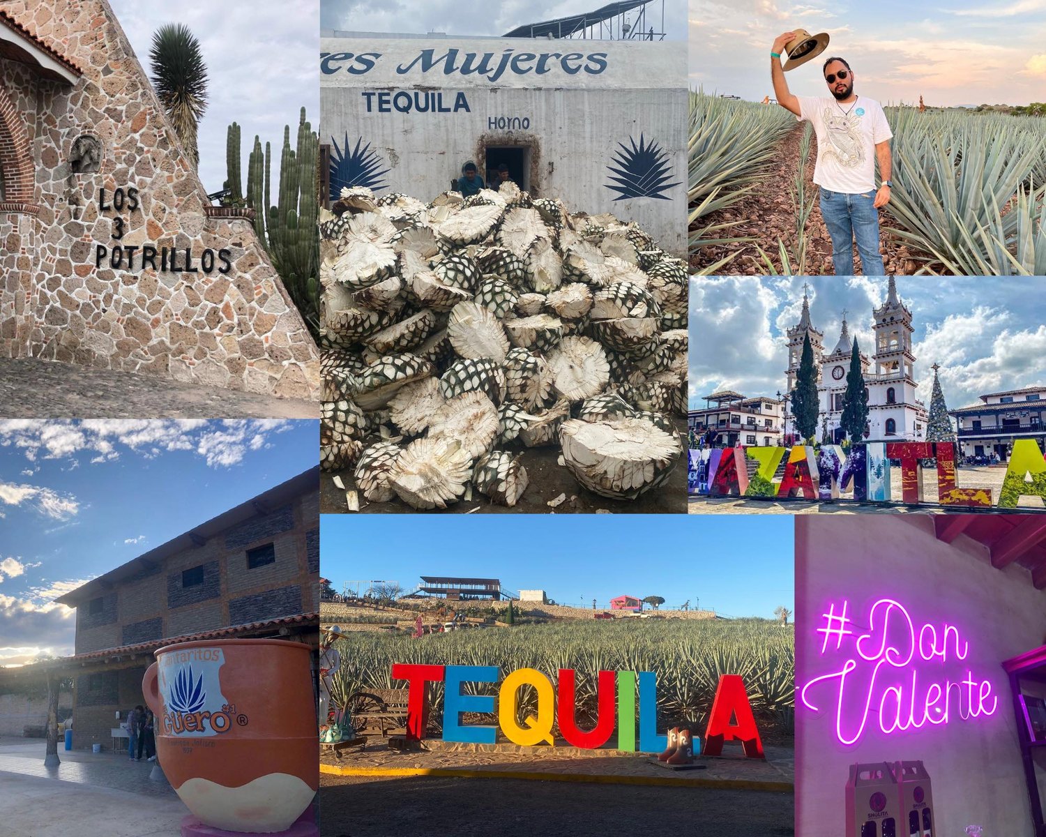 Collage de experiencias de Tours Aventuras Jalisco